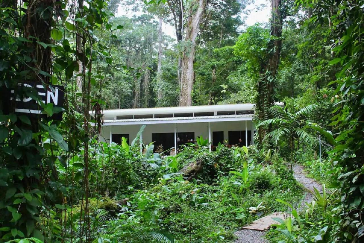 Casa Eden - Modern Peaceful Jungle Apartments Cocles Exterior foto