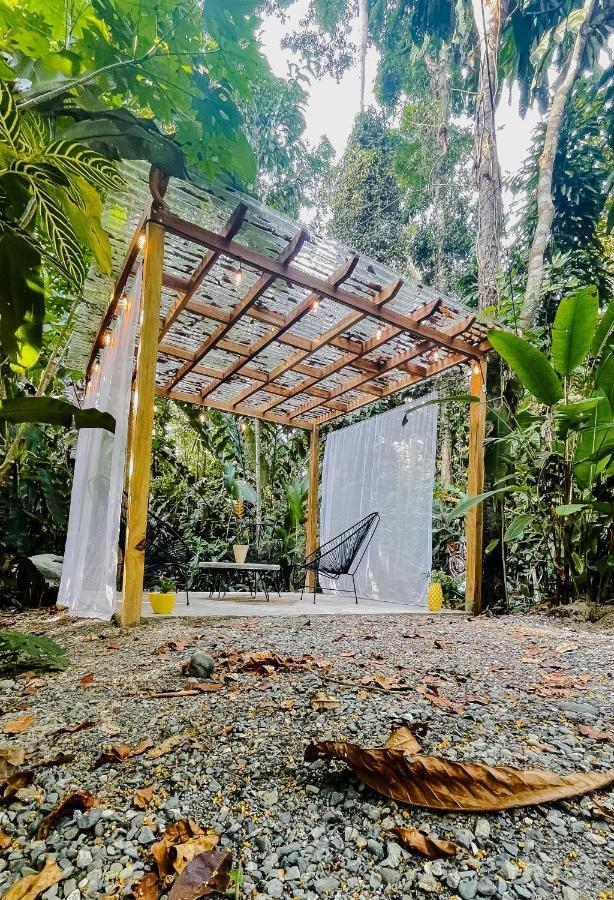 Casa Eden - Modern Peaceful Jungle Apartments Cocles Exterior foto